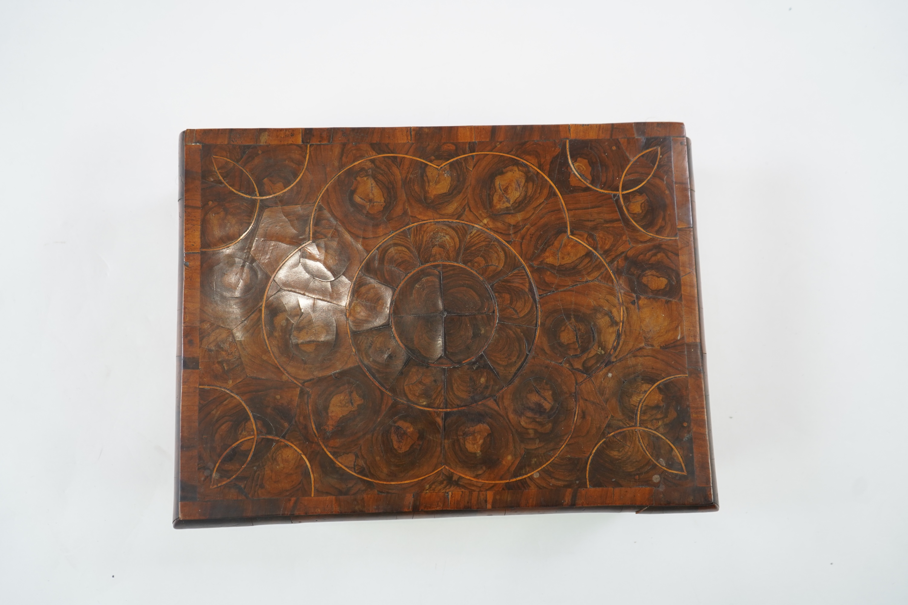 A William and Mary oyster olivewood veneered lace box